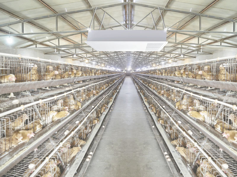 养鸡场空气消毒除臭设备